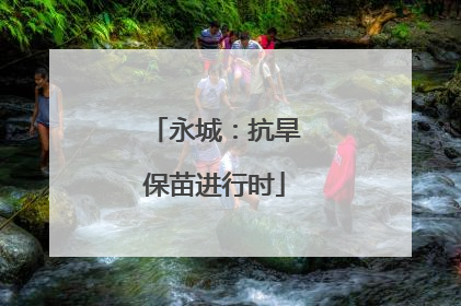永城：抗旱保苗进行时