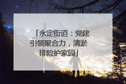 永定街道：党建引领聚合力，清淤排险护家园