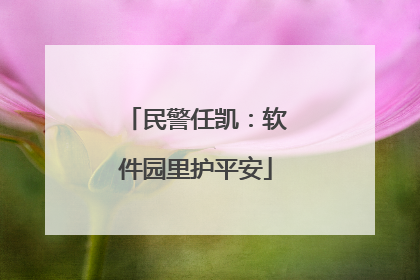 民警任凯：软件园里护平安