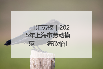 汇劳模｜2025年上海市劳动模范——符欣怡