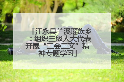 江永县兰溪瑶族乡：组织三级人大代表开展“三会三文”精神专题学习