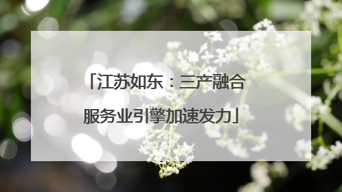 江苏如东：三产融合 服务业引擎加速发力