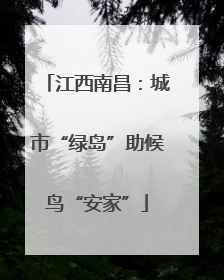 江西南昌：城市“绿岛”助候鸟“安家”