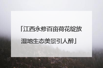 江西永修百亩荷花绽放 湿地生态美景引人醉