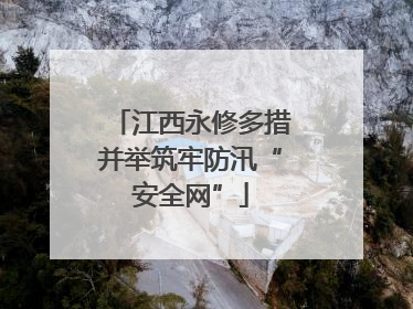 江西永修多措并举筑牢防汛“安全网”