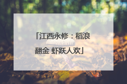 江西永修：稻浪翻金 虾跃人欢