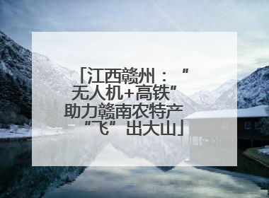 江西赣州：“无人机+高铁”助力赣南农特产“飞”出大山