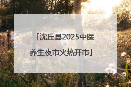 沈丘县2025中医养生夜市火热开市