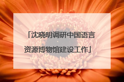 沈晓明调研中国语言资源博物馆建设工作