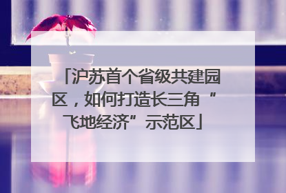 沪苏首个省级共建园区，如何打造长三角“飞地经济”示范区
