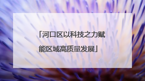河口区以科技之力赋能区域高质量发展