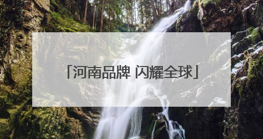 河南品牌 闪耀全球