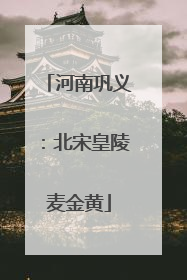 河南巩义：北宋皇陵麦金黄