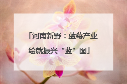 河南新野：蓝莓产业绘就振兴“蓝”图
