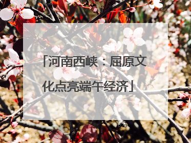 河南西峡：屈原文化点亮端午经济