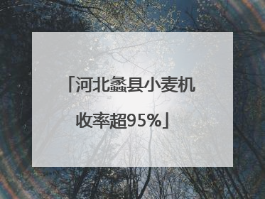 河北蠡县小麦机收率超95%