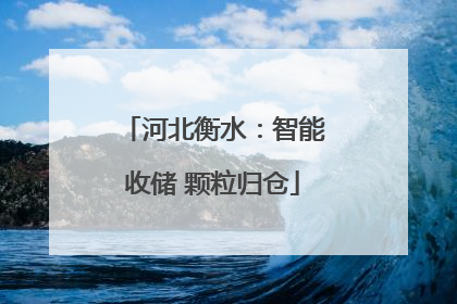 河北衡水：智能收储 颗粒归仓