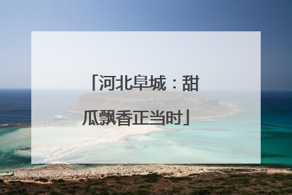 河北阜城：甜瓜飘香正当时