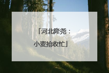 河北隆尧：小麦抢收忙