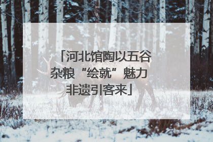 河北馆陶以五谷杂粮“绘就”魅力非遗引客来
