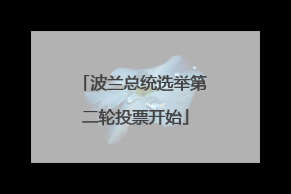 波兰总统选举第二轮投票开始