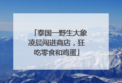 泰国一野生大象凌晨闯进商店，狂吃零食和鸡蛋