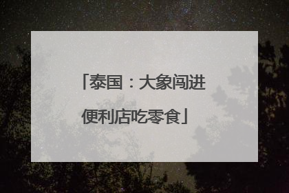 泰国：大象闯进便利店吃零食