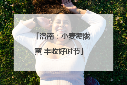 洛南：小麦覆陇黄 丰收好时节