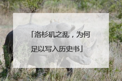 洛杉矶之乱，为何足以写入历史书