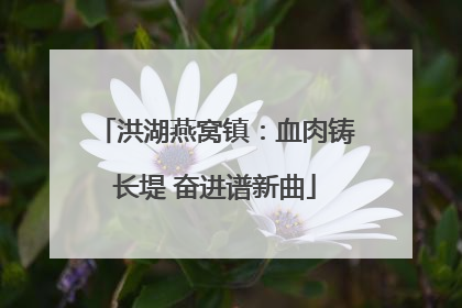 洪湖燕窝镇：血肉铸长堤 奋进谱新曲