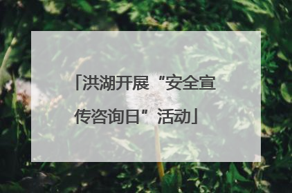 洪湖开展“安全宣传咨询日”活动