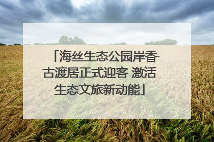 海丝生态公园岸香·古渡居正式迎客 激活生态文旅新动能