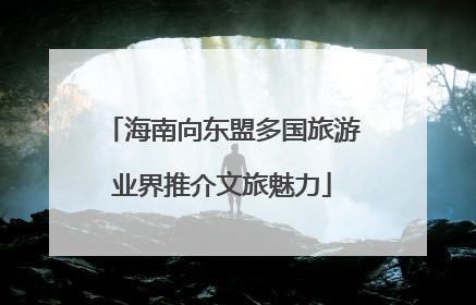 海南向东盟多国旅游业界推介文旅魅力