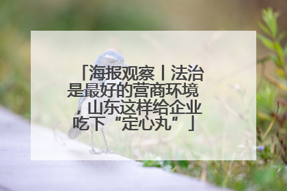 海报观察丨法治是最好的营商环境，山东这样给企业吃下“定心丸”