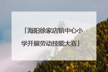 海阳徐家店镇中心小学开展劳动技能大赛