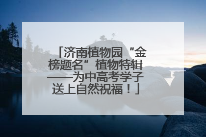 济南植物园“金榜题名”植物特辑——为中高考学子送上自然祝福！