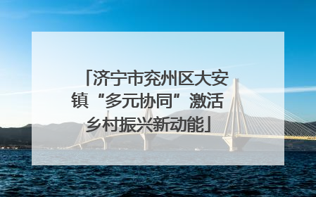 济宁市兖州区大安镇“多元协同”激活乡村振兴新动能
