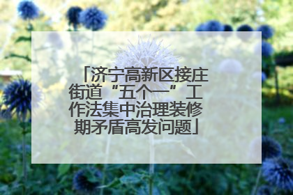 济宁高新区接庄街道“五个一”工作法集中治理装修期矛盾高发问题