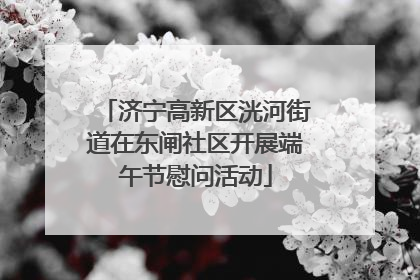 济宁高新区洸河街道在东闸社区开展端午节慰问活动