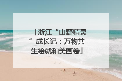 浙江“山野精灵”成长记：万物共生绘就和美画卷