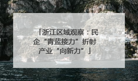 浙江区域观察：民企“青蓝接力”折射产业“向新力”