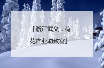 浙江武义：荷花产业助致富