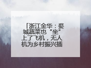 浙江金华：婺城蔬菜也“坐”上了飞机，无人机为乡村振兴插上“翅膀”