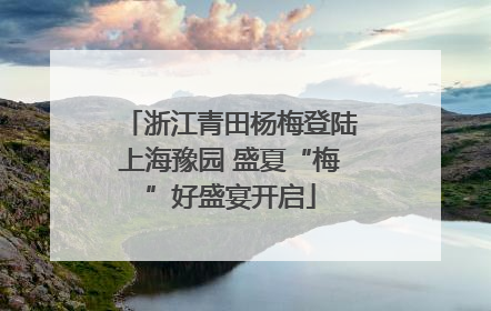 浙江青田杨梅登陆上海豫园 盛夏“梅”好盛宴开启