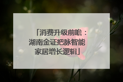消费升级前瞻：湖南金证把脉智能家居增长逻辑