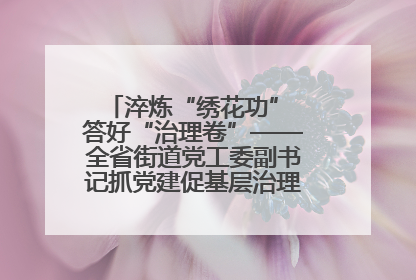淬炼“绣花功” 答好“治理卷”——全省街道党工委副书记抓党建促基层治理培训示范班侧记