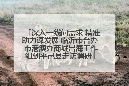 深入一线问需求 精准助力谋发展 临沂市台办 市港澳办商城出海工作组到平邑县走访调研