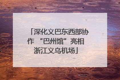 深化义巴东西部协作 “巴州馆”亮相浙江义乌机场