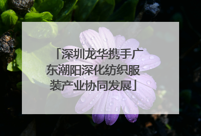 深圳龙华携手广东潮阳深化纺织服装产业协同发展