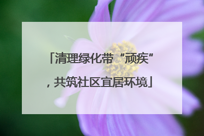 清理绿化带“顽疾”，共筑社区宜居环境